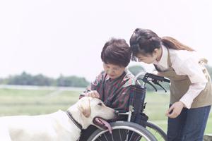 通販でも購入可能なツムラの五苓散