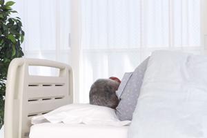 住宅型有料老人ホームにじいろについて