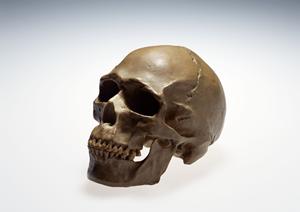 インプラントを使うならこのクリニック!