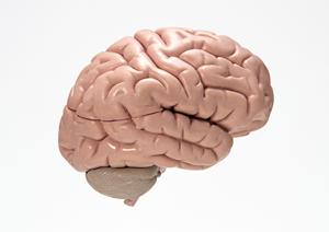 日本橋にある皮膚の専門クリニック