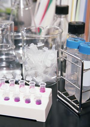 鎌ケ谷の不妊治療専門のクリニックで妊娠